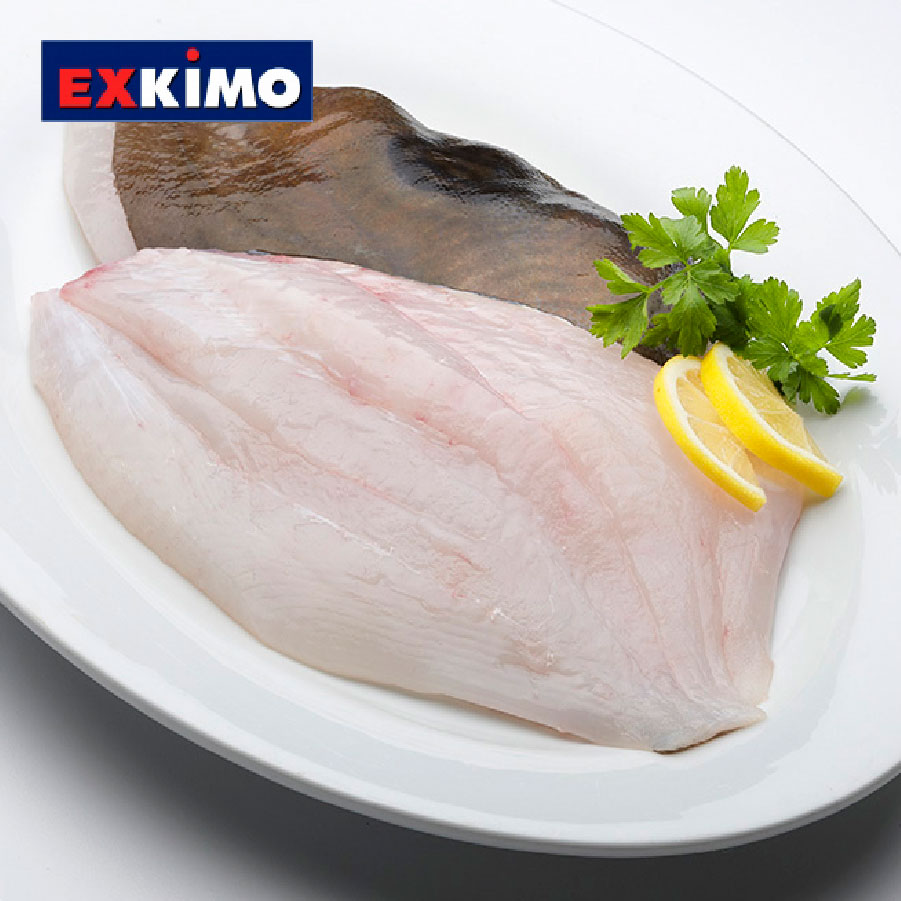 filete gallo san pedro