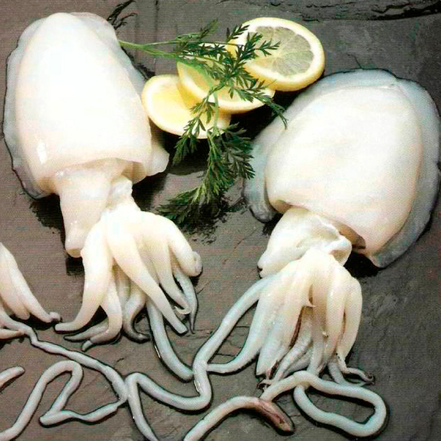sepia limpia
