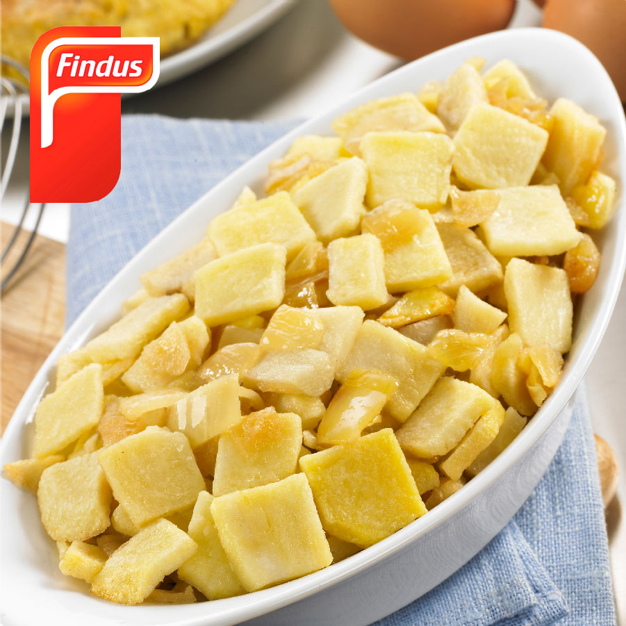 base para tortilla Findus